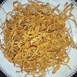 CÁPSULAS CORDYCEPS MILITARIS