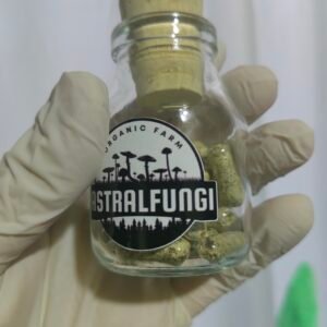 CÁPSULAS DE PSILOCYBE