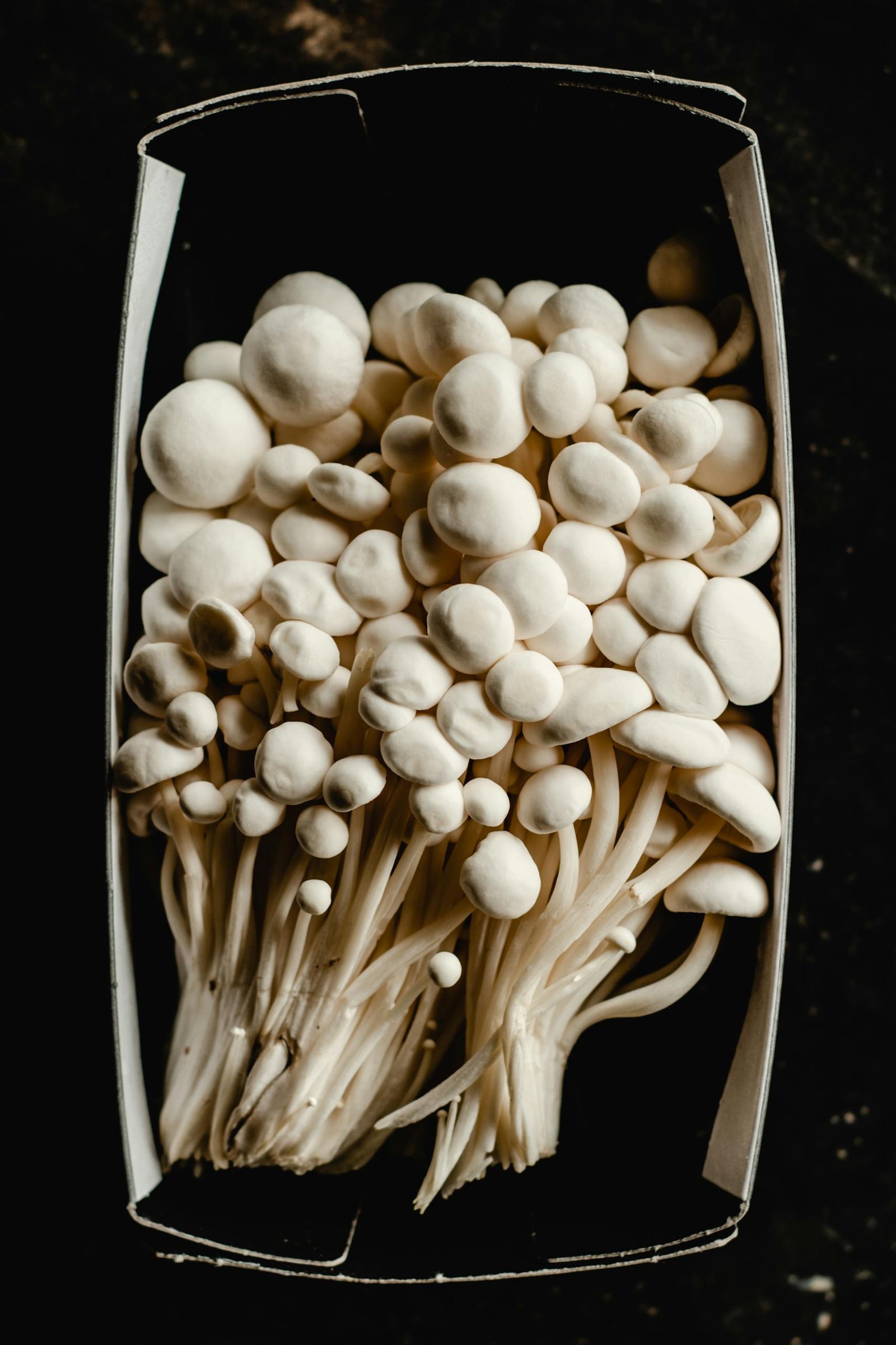 A close-up of fresh enoki mushrooms arranged in a packaging box, highlighting their unique texture.