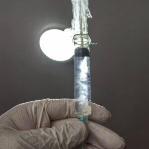 VARIEDADES EXOTICAS O ALBINAS DESDE